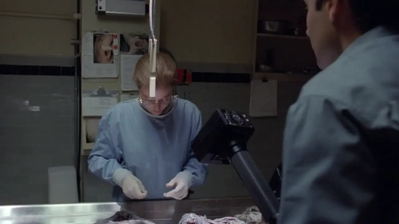 Секретные материалы