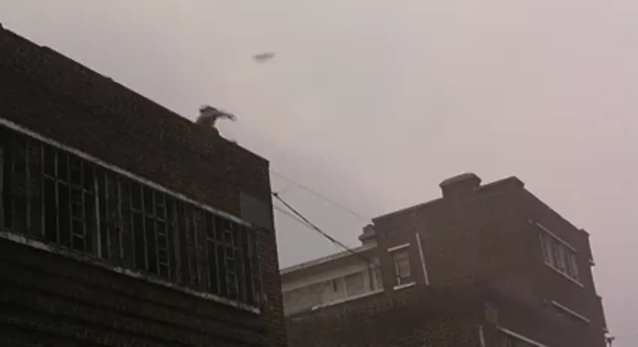 Во имя отца