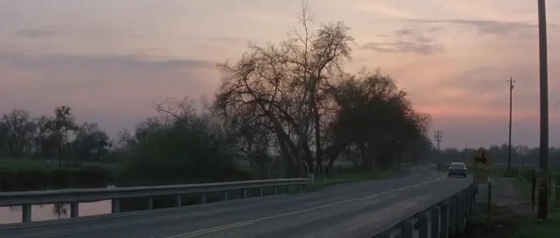 Кукловоды