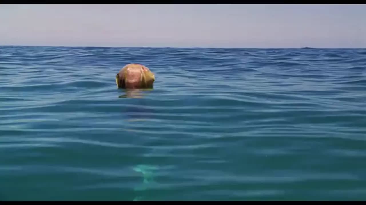Водный мир
