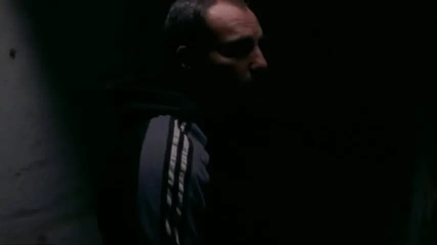 Дилер