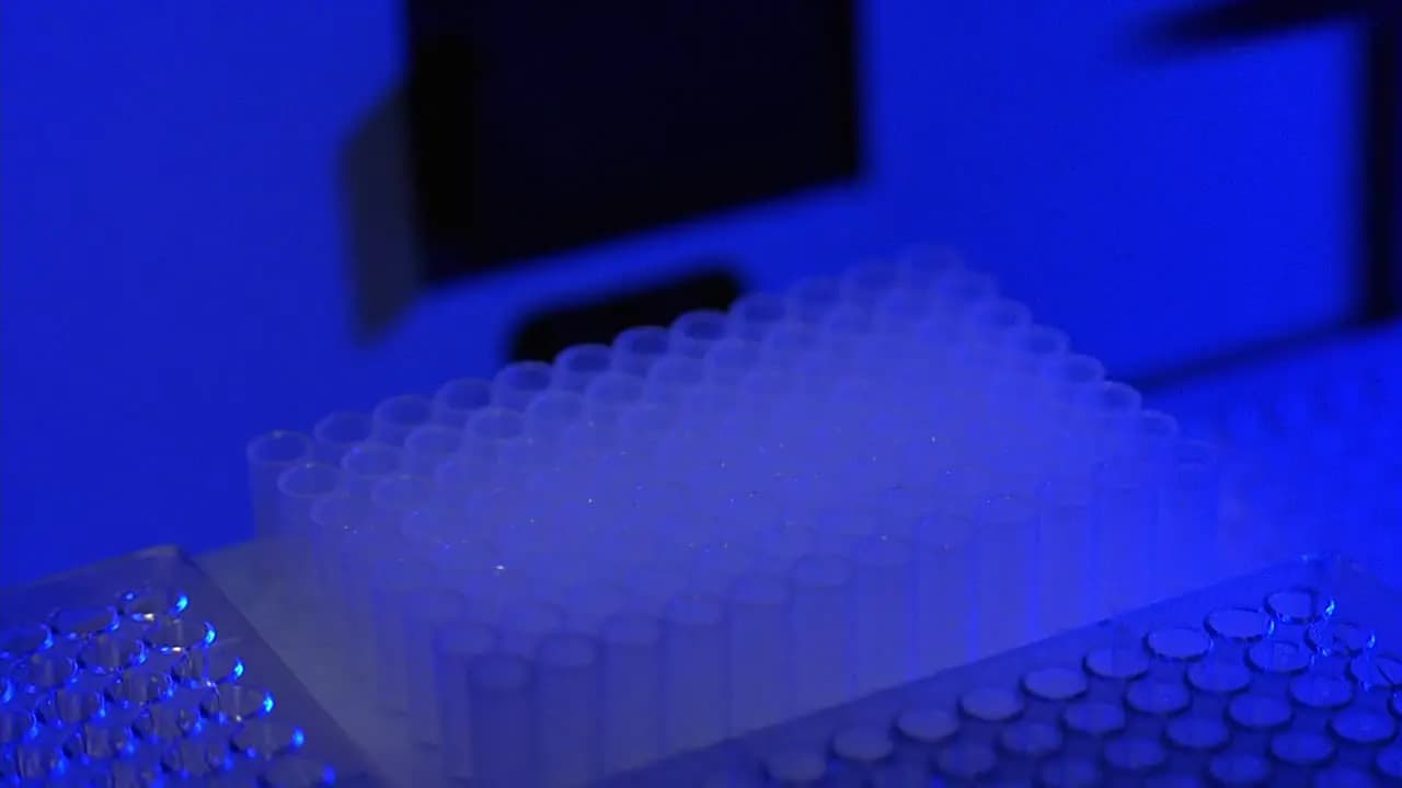 Гаттака