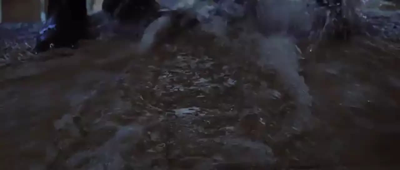 Донни Дарко