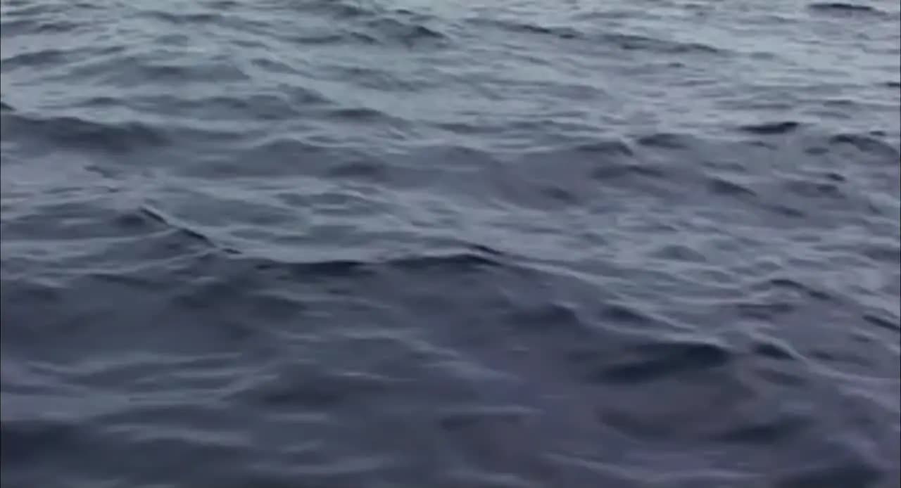 Открытое море