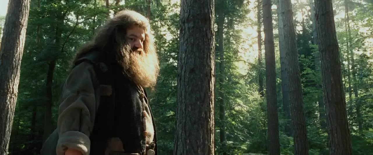 Гарри Поттер и узник Азкабана