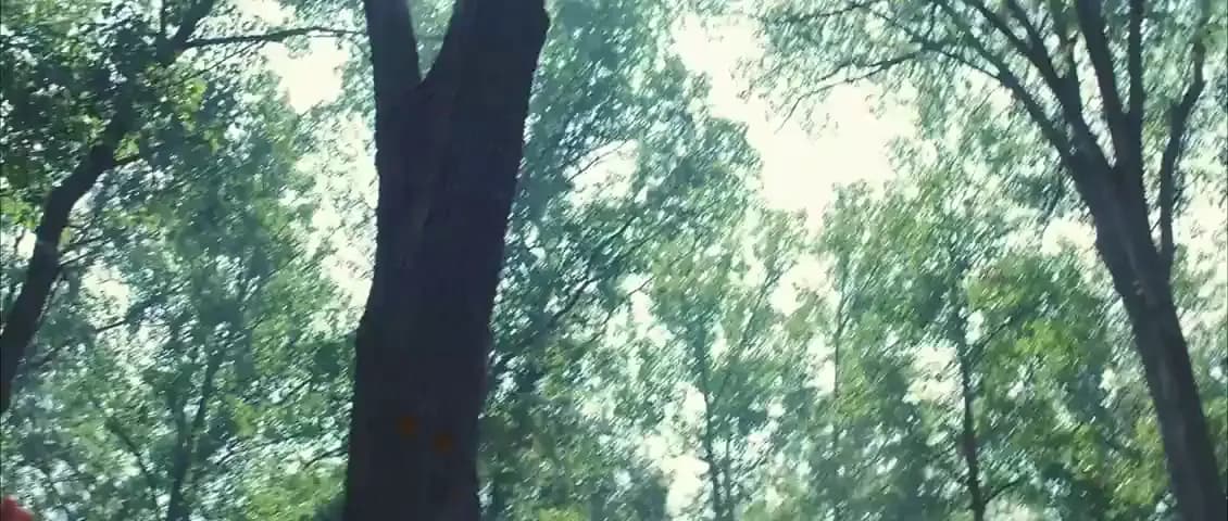 Новый Свет