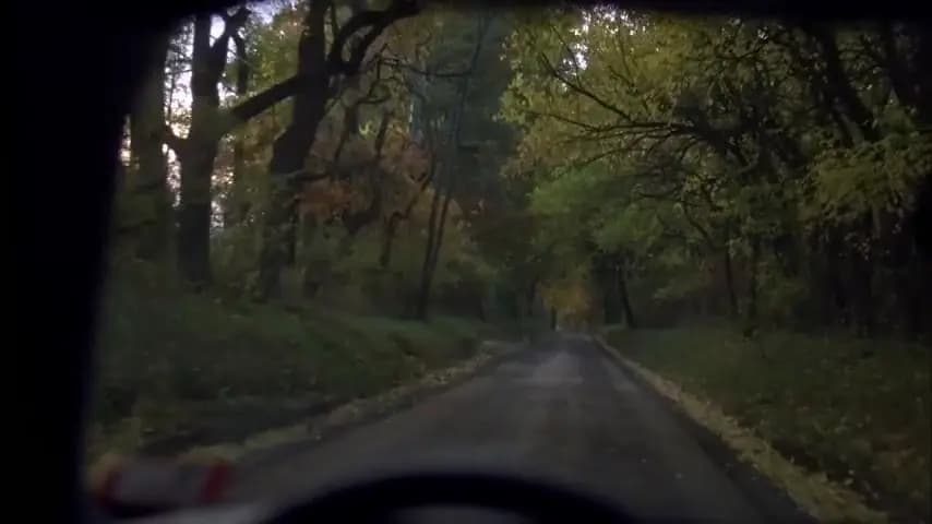 Сломанные цветы