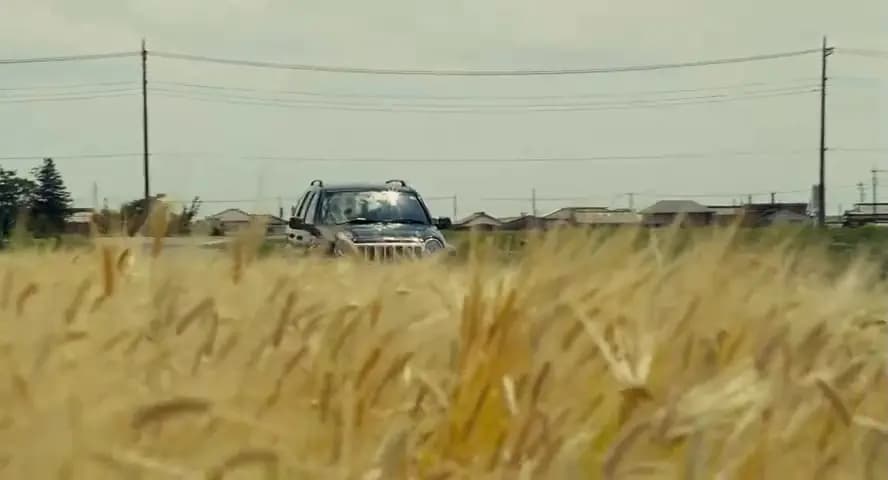 Фантомы