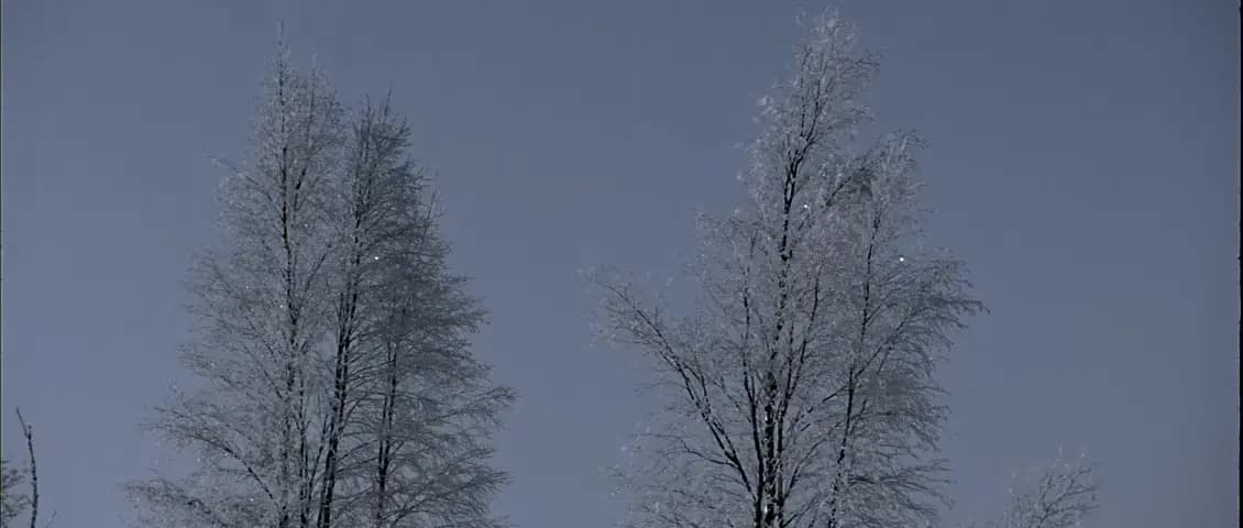 Впусти меня