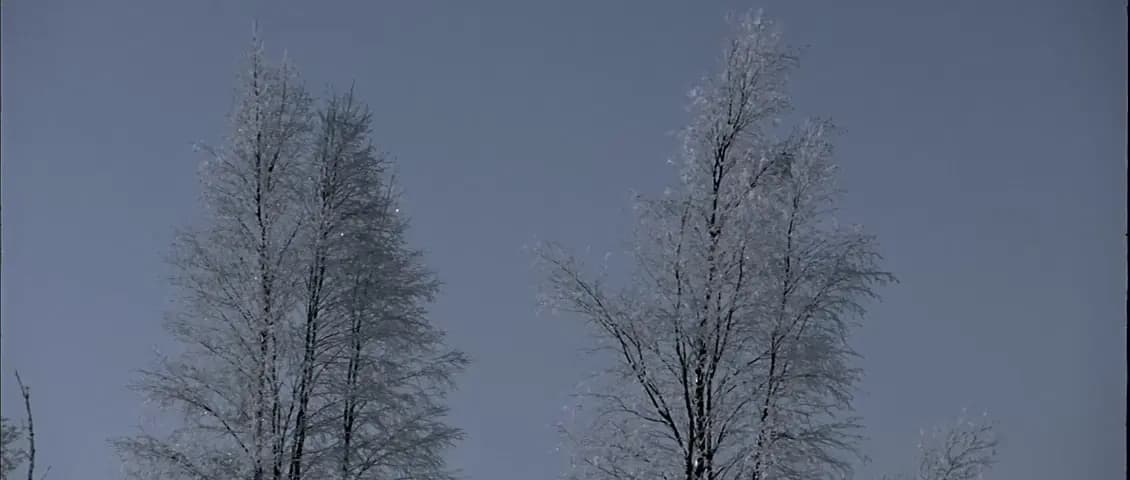 Впусти меня
