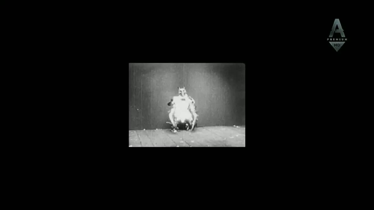 The Doors. When you`re strange