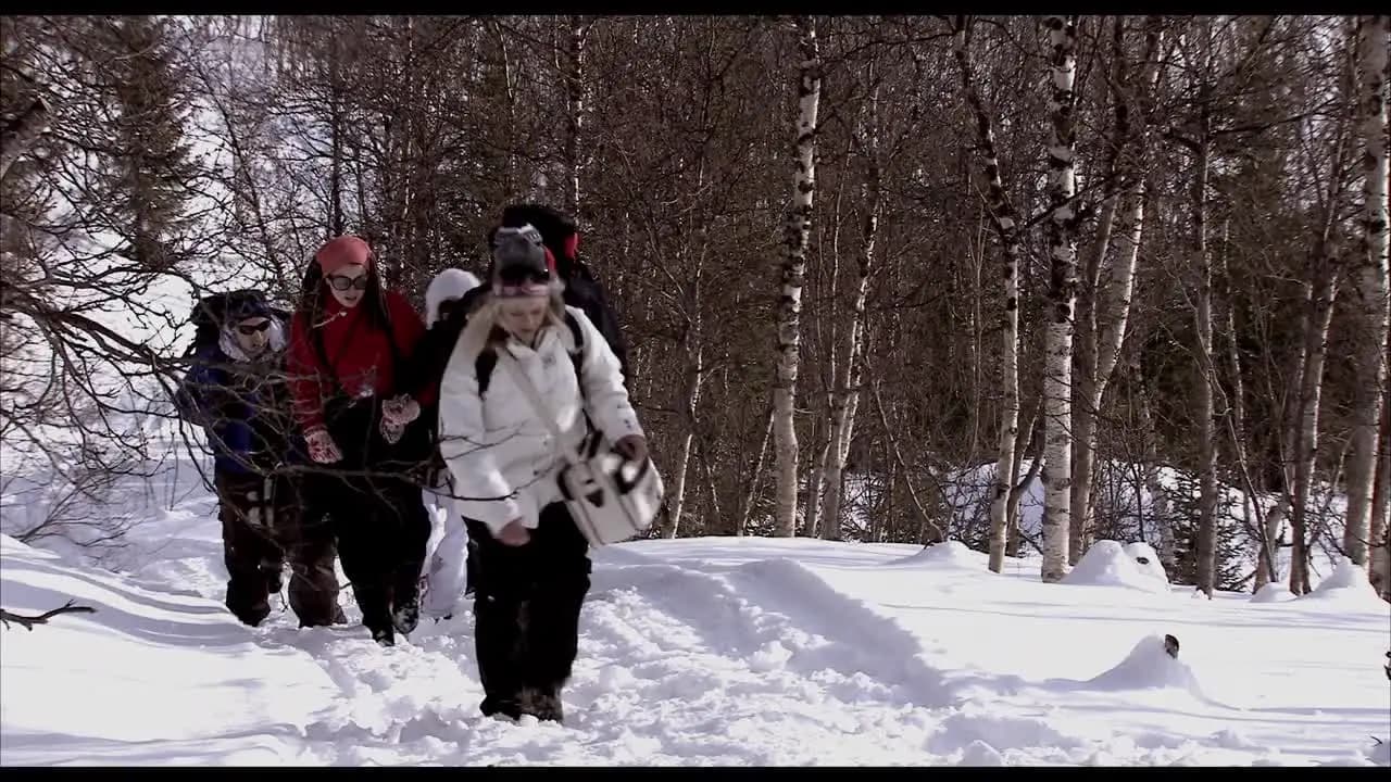 Операция «Мертвый снег»