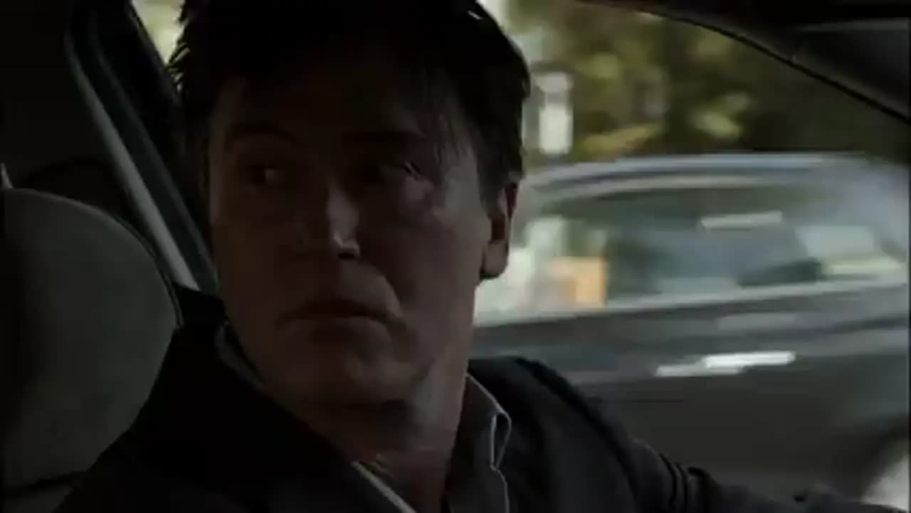 В тени