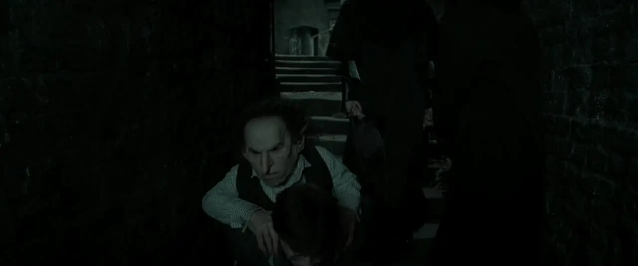 Гарри Поттер и Дары Смерти: Часть II