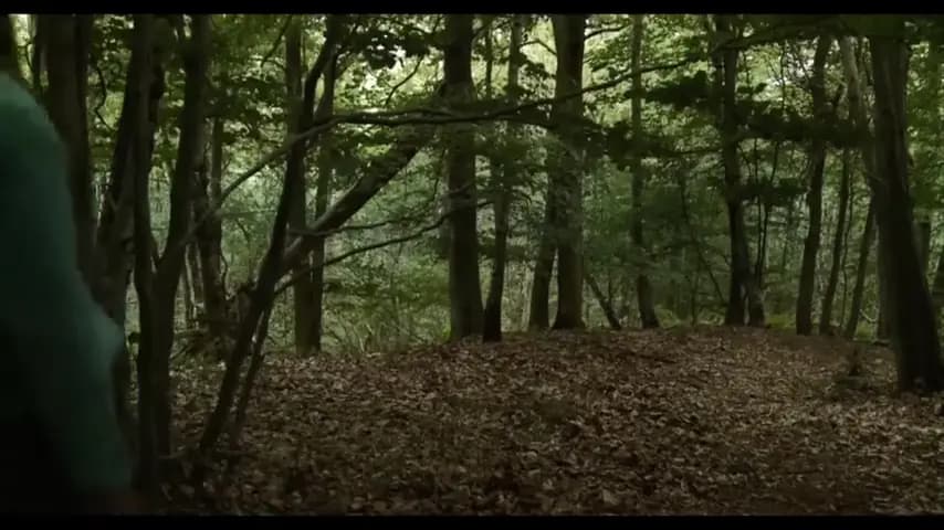 Перевод с американского