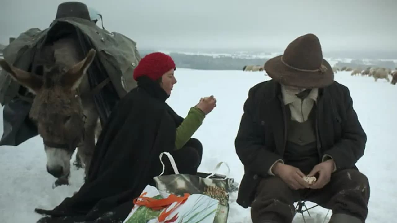 Зимние странники