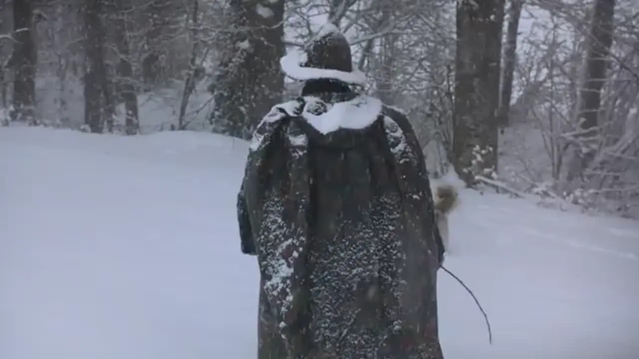 Зимние странники