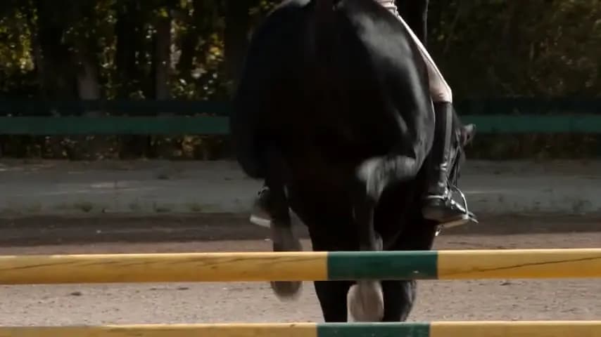 Флика 3