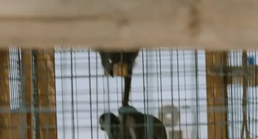 Цель номер один