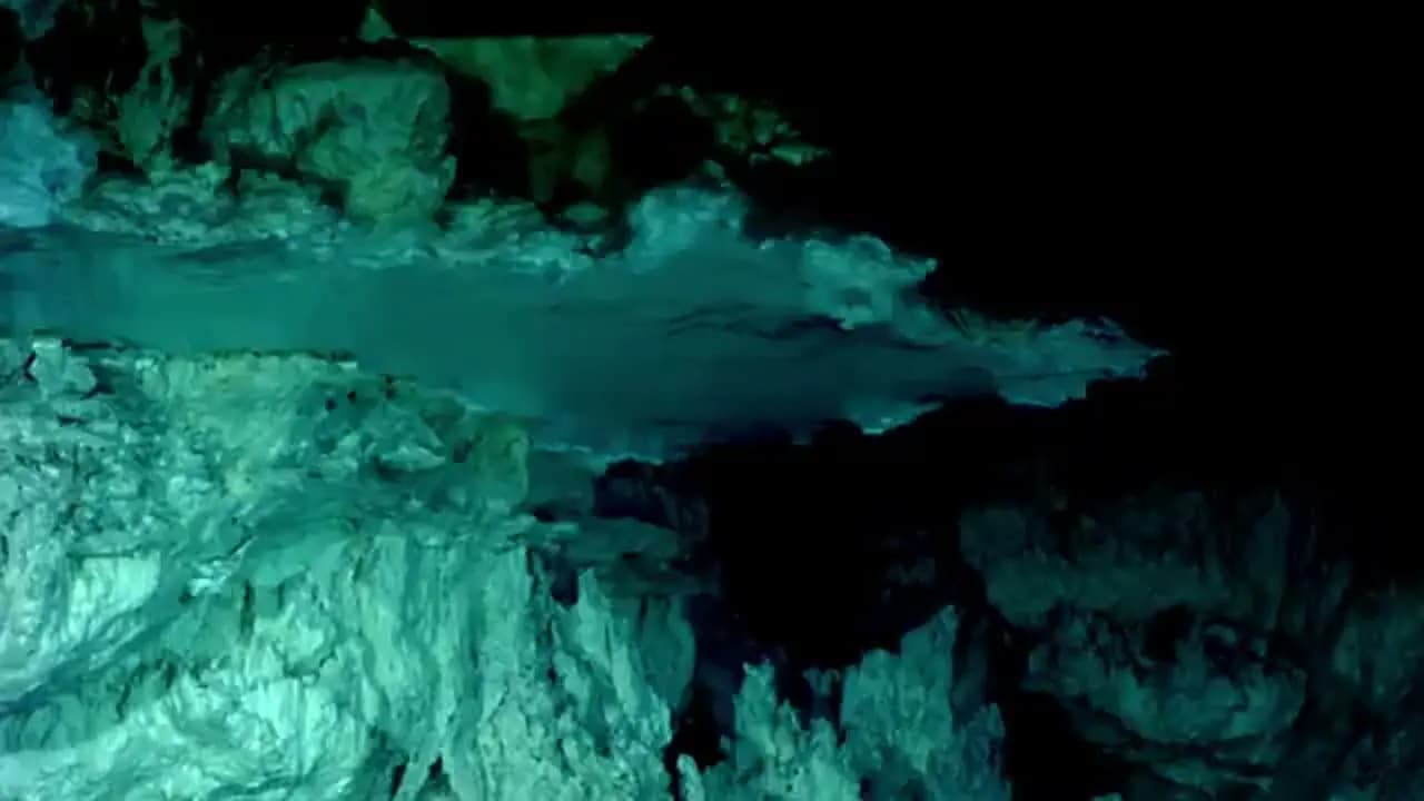 Чудеса жизни