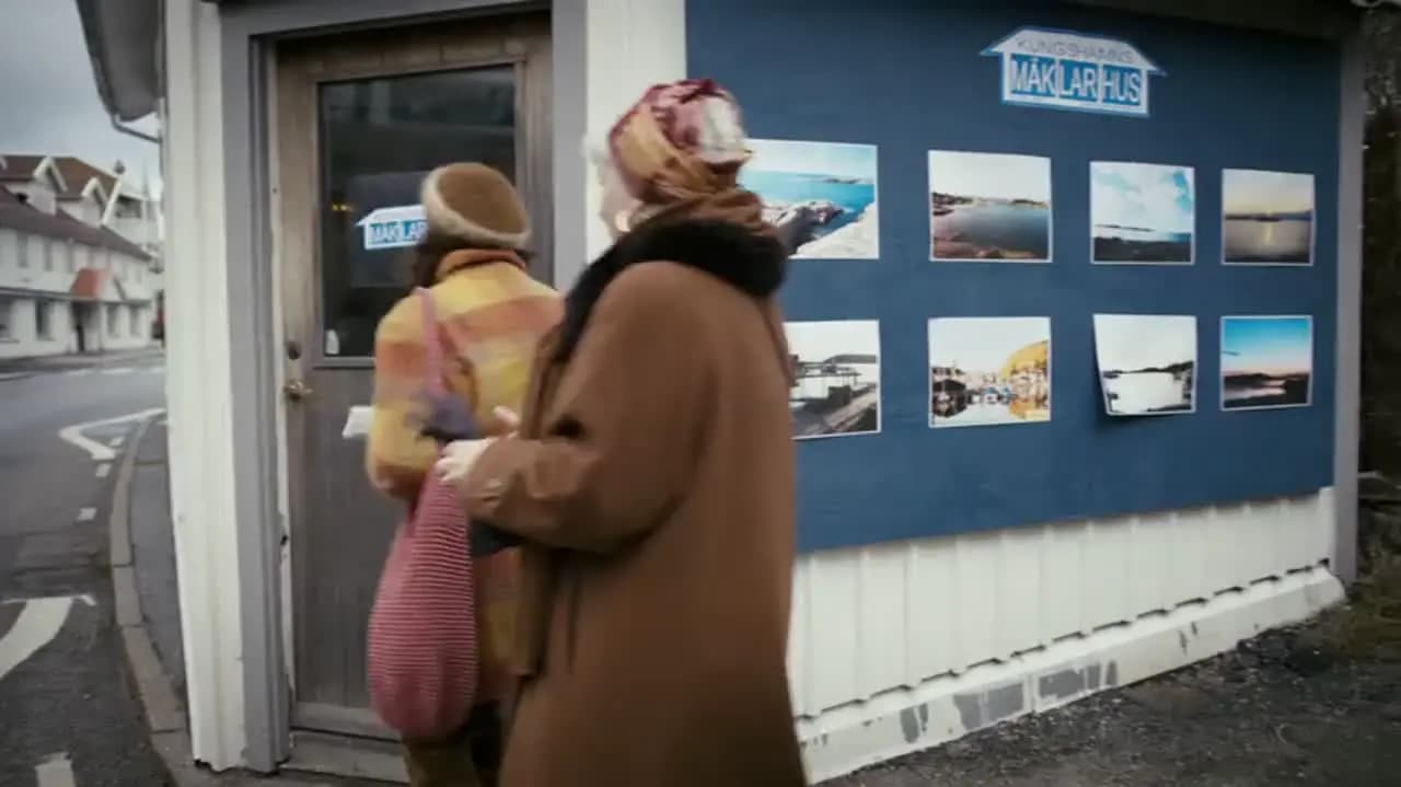 Береговой всадник