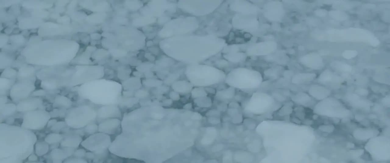 Эллис