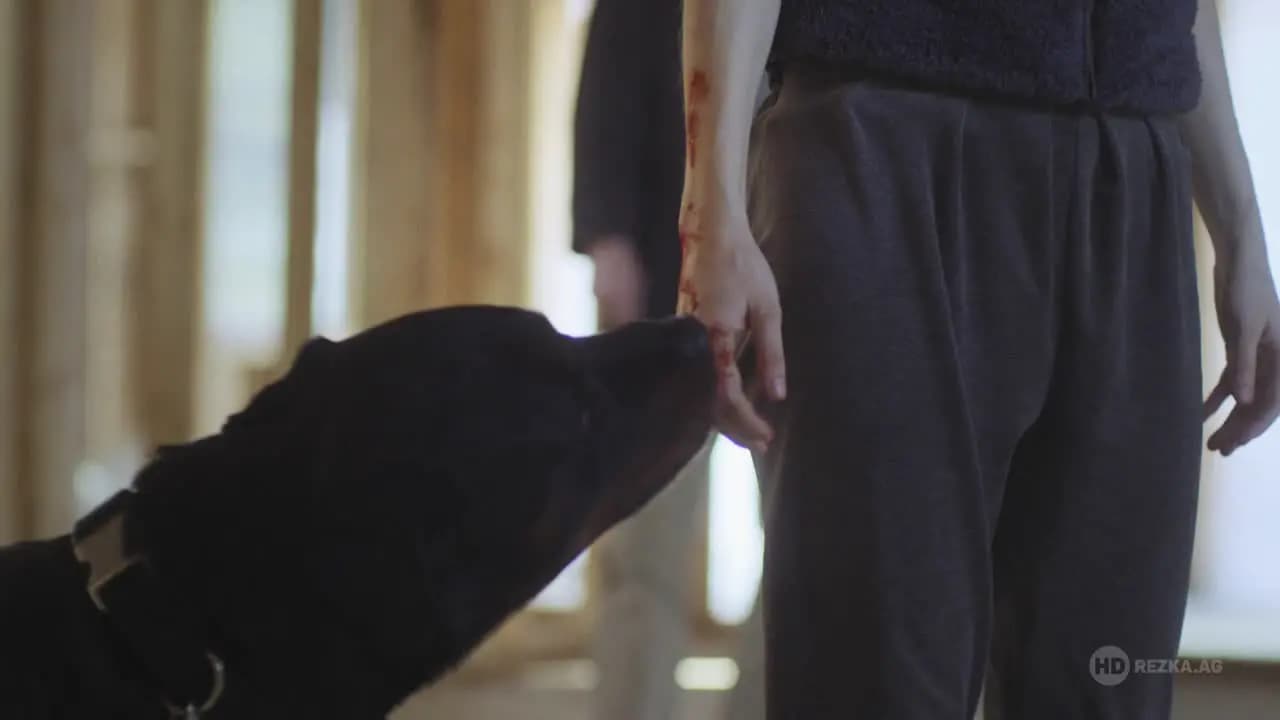 ОА / The OA