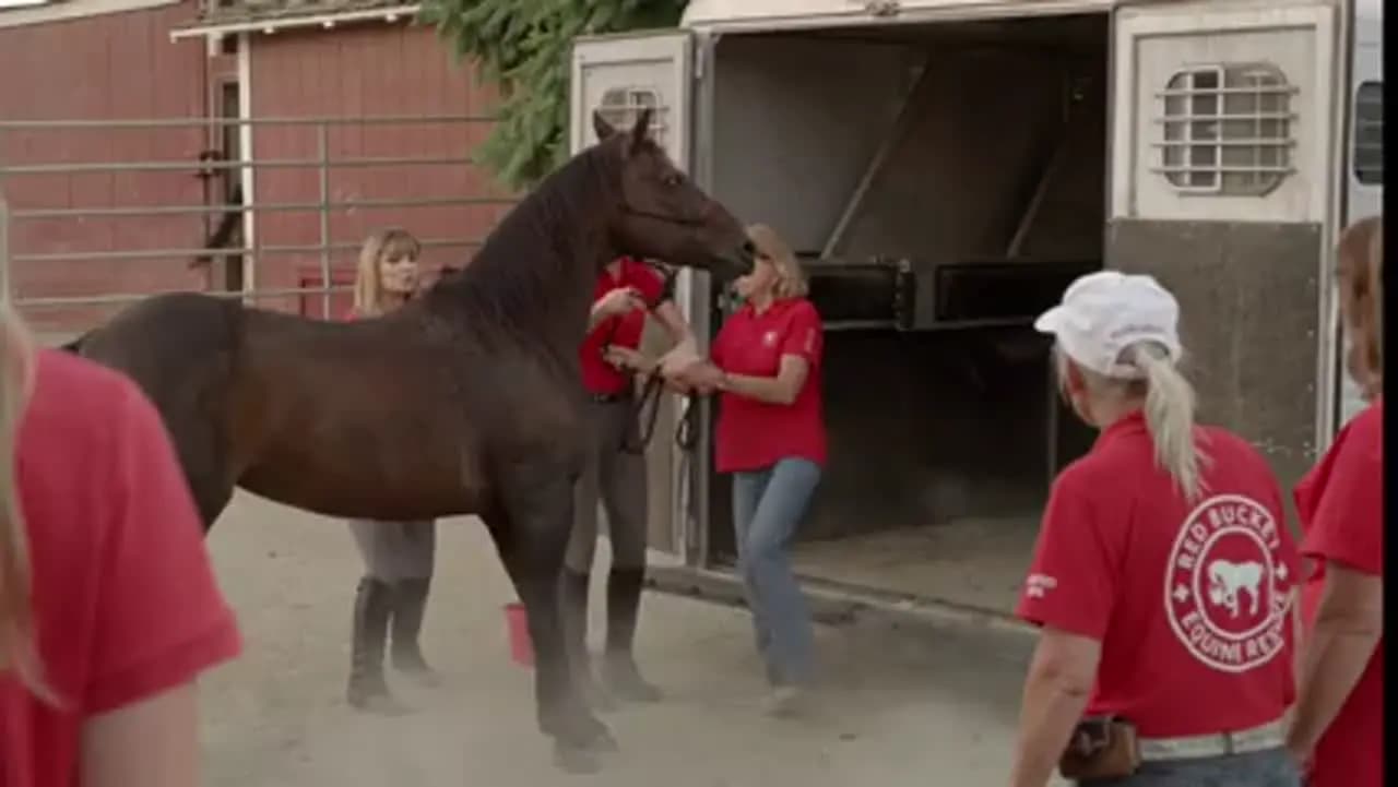 Шанс Эммы