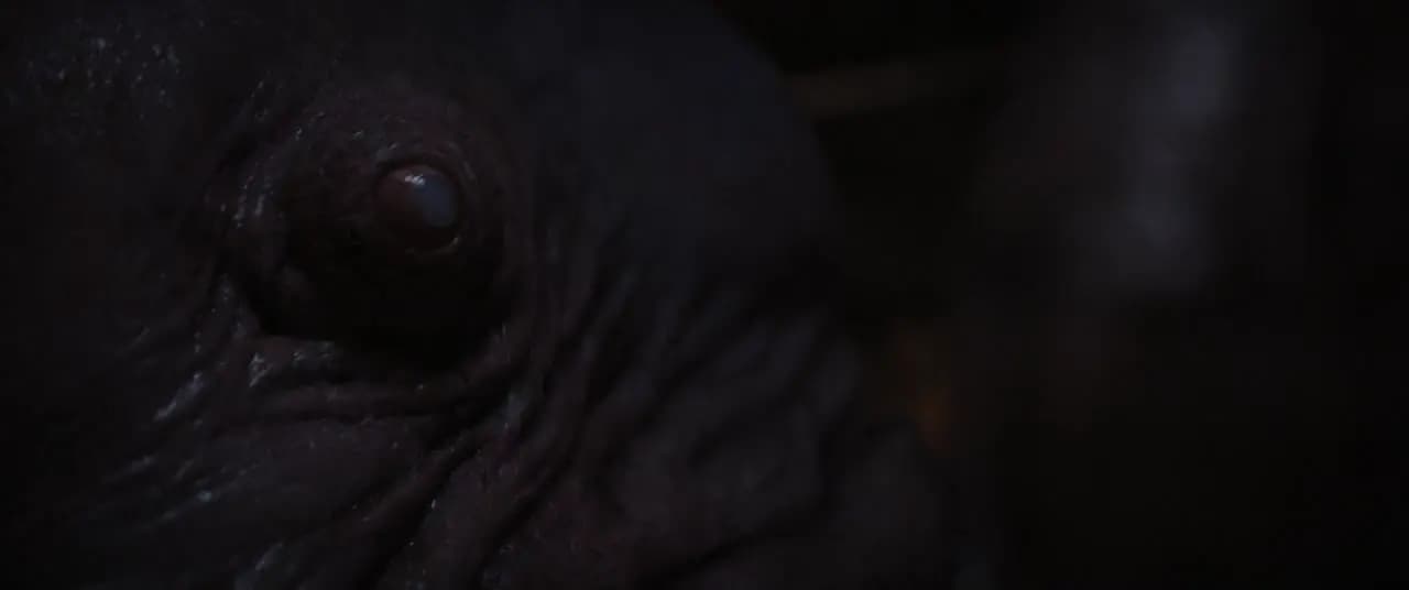 Изгой-один: Звёздные войны. Истории