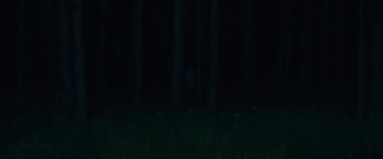 Зверь
