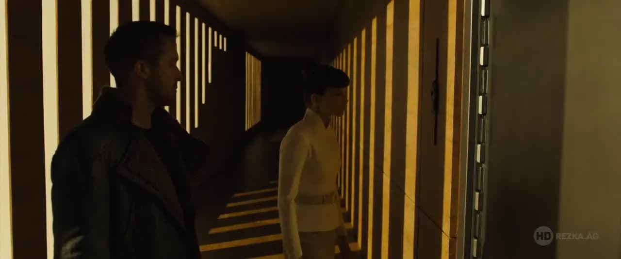 Бегущий по лезвию 2049