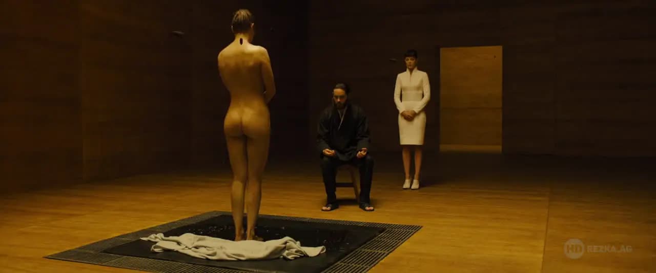 Бегущий по лезвию 2049