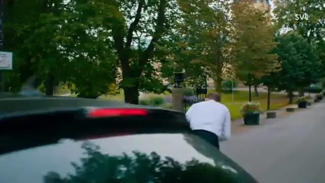 Орлы
