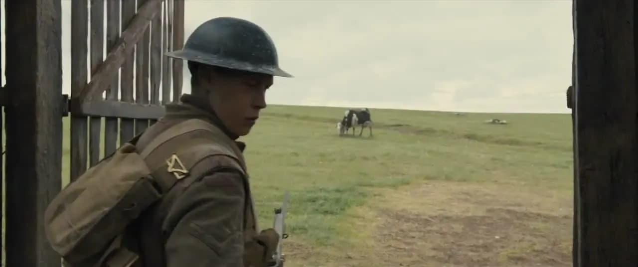 1917 год