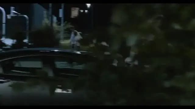 Общество