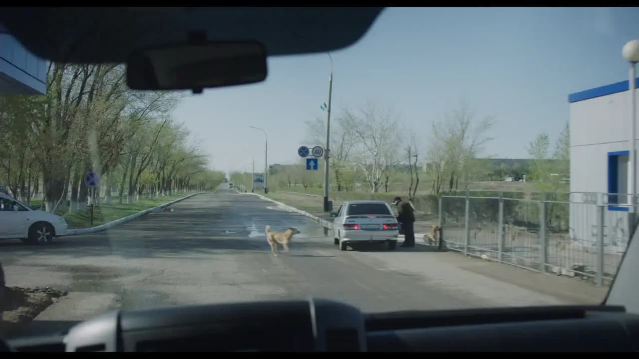 Проксима