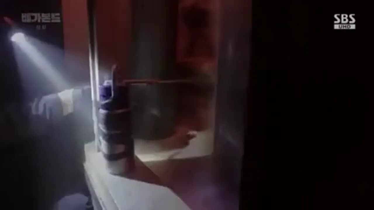 Бродяга