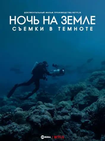 Ночь на земле: съемки в темноте