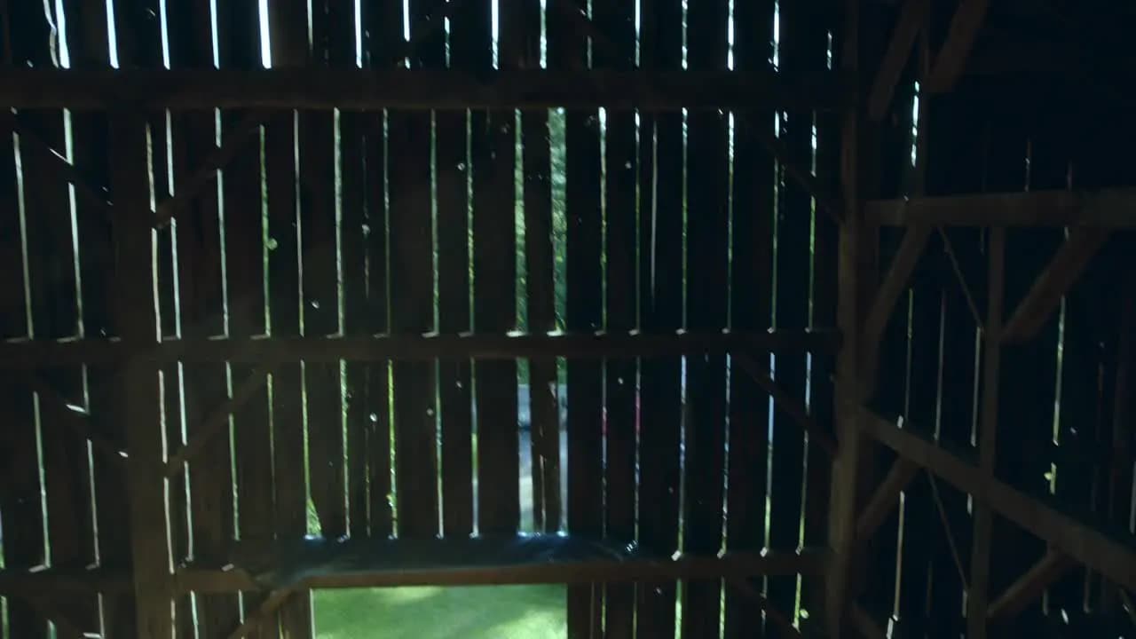 Ловец снов