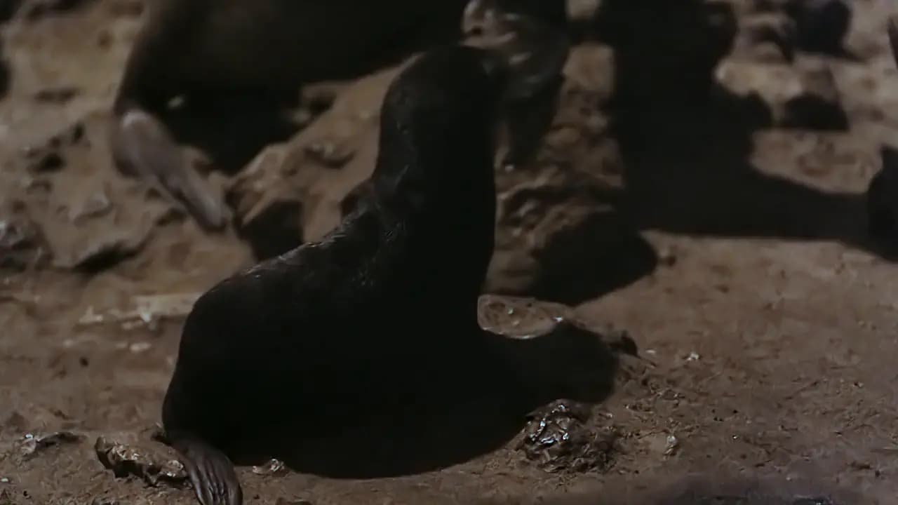 Земля ночью в цвете