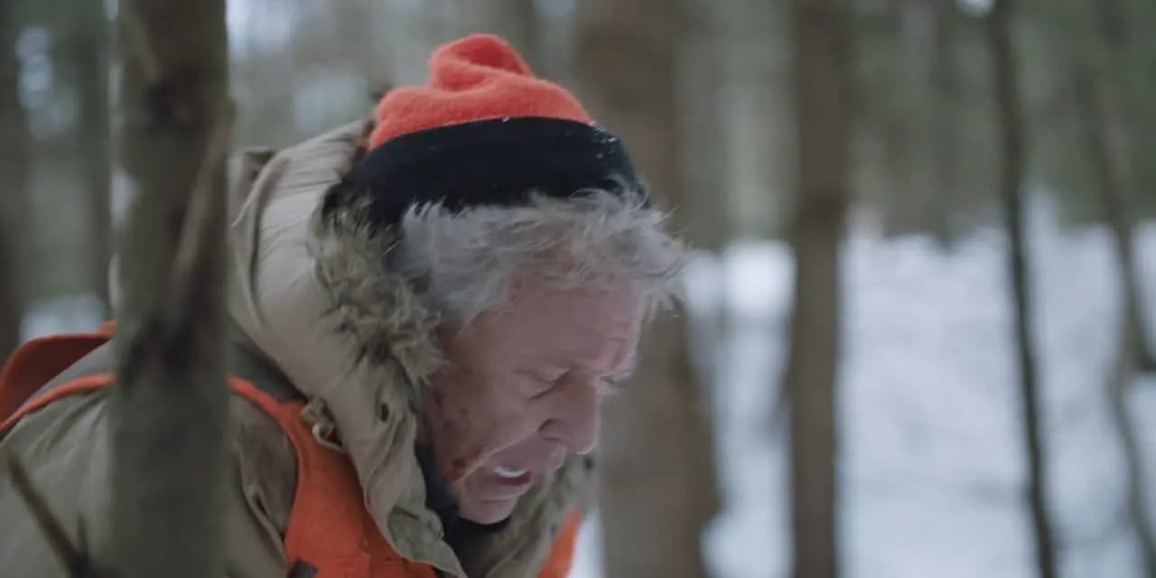 Кровь и деньги