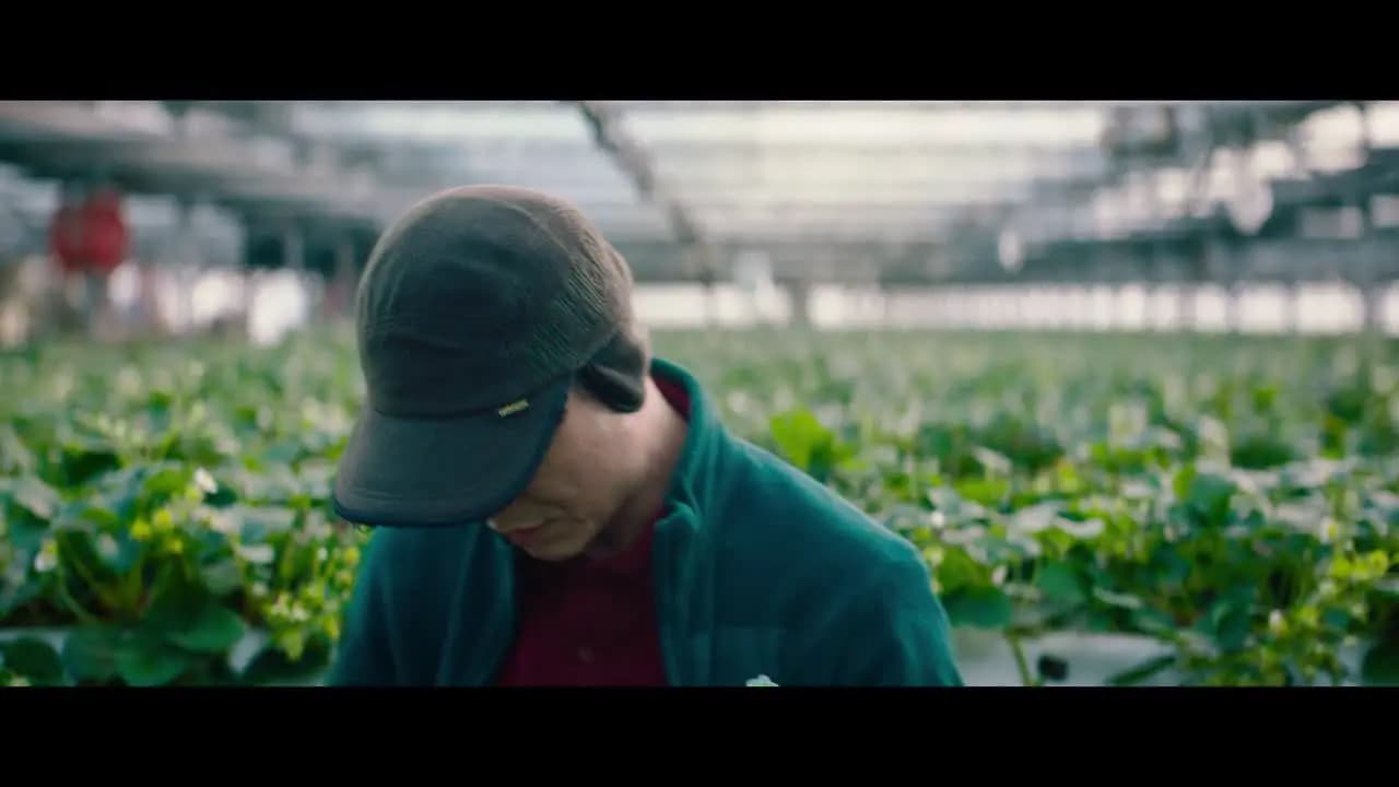 Звонок из прошлого