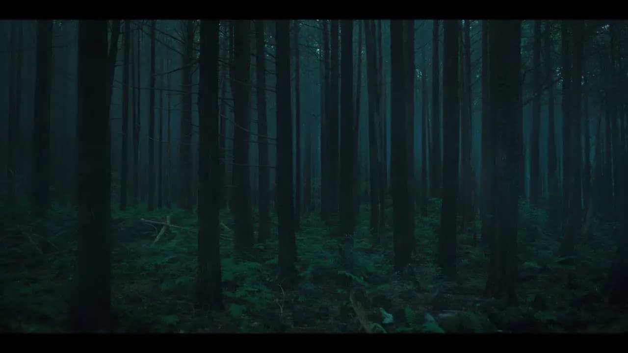 Королевство зомби: История Ашинь