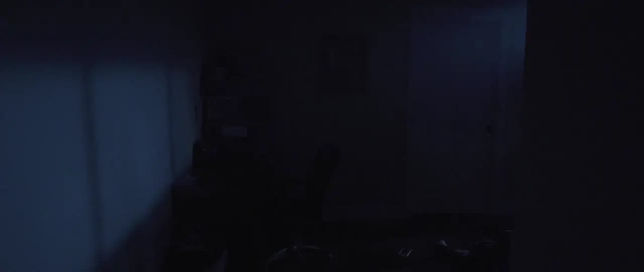 Споры