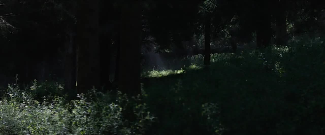 В земле