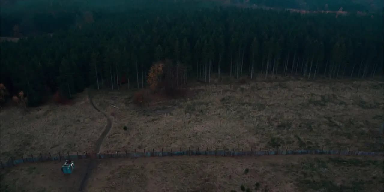Жестокие эльфы