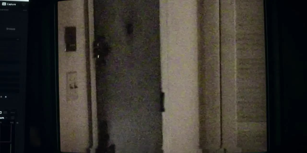 Архив 81