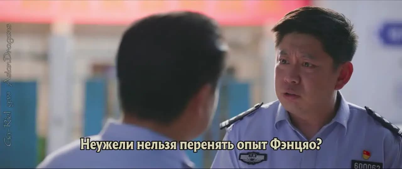 Честь полиции