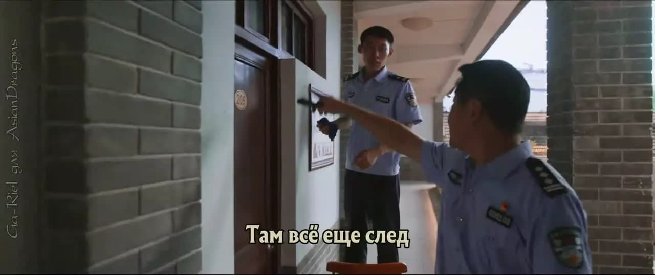 Честь полиции