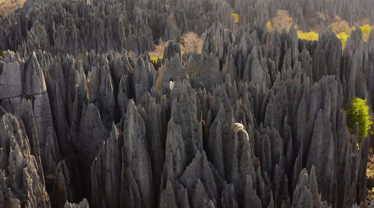 Лучшие национальные парки мира